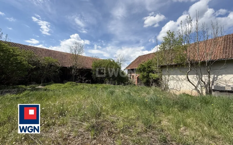 Grunt rolny na  sprzedaż Jelonek - MAZURSKIE GOSPODARSTWO 46,24 HA | SIEDLISKO | STAW | ŁAŹNA STRUGA | PUSZCZA BORECKA